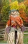 Picture of USA, TENNESSEE, TOWNSEND HALLOWEEN SCARECROW