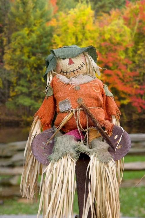 Picture of USA, TENNESSEE, TOWNSEND HALLOWEEN SCARECROW