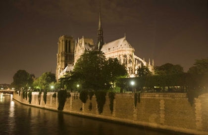 Picture of FRANCE, PARIS NOTRE DAME CATHEDRAL LIT AT NIGHT