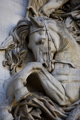 Picture of FRANCE, PARIS HORSE HEAD ON THE ARC DE TRIOMPHE