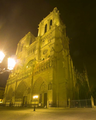 Picture of FRANCE, PARIS NOTRE DAME CATHEDRAL LIT AT NIGHT