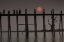 Picture of MYANMAR, AMARAPURA MONKS CROSSING U BEIN BRIDGE