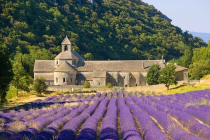 Picture of FRANCE, GORDES CISTERCIAN MONASTERY OF SENANQUE