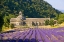 Picture of FRANCE, GORDES CISTERCIAN MONASTERY OF SENANQUE