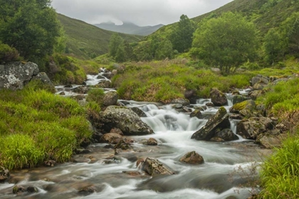 Picture of SCOTLAND, CAIRNGORM NP MOUNTAIN STREAM CASCADE