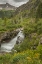 Picture of CO, SAN JUAN MTS WATERFALL IN YANKEE BOY BASIN