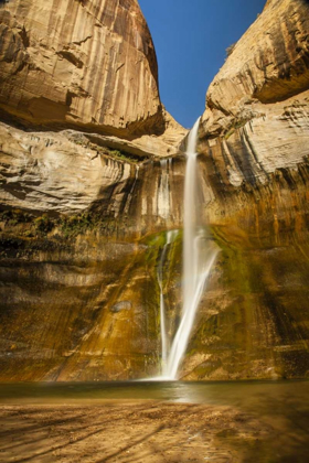 Picture of UT, GRAND STAIRCASE ESCALANTE, CALF CREEK FALLS