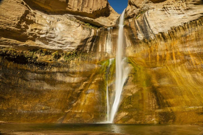 Picture of UT, GRAND STAIRCASE ESCALANTE, CALF CREEK FALLS