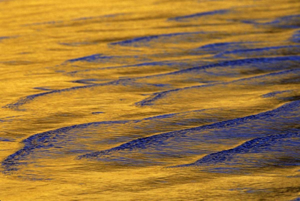 Picture of CA, WAVE PATTERNS OFF TORREY PINES CLIFFS