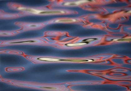 Picture of NEW MEXICO, SOCORRO RED PATTERNS IN WATER