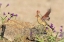Picture of ARIZONA, AMADO FEMALE CARDINAL WITH WINGS SPREAD
