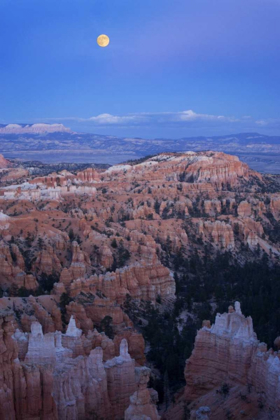 Picture of UTAH, BRYCE CANYON NP MOONRISE OVER SUNSET POINT