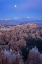 Picture of UTAH, BRYCE CANYON NP MOONRISE OVER SUNSET POINT