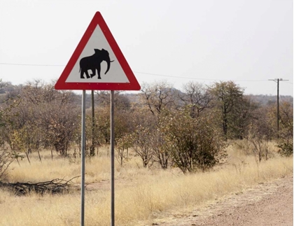 Picture of NAMIBIA, DAMARALAND SIGN WARNING ABOUT ELEPHANTS