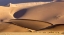 Picture of NAMIBIA, NAMIB-NAUKLUFT PARK ABSTRACT SAND DUNES
