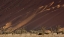 Picture of NAMIBIA, NAMIB-NAUKLUFT DUNES AND SKELETON TREES