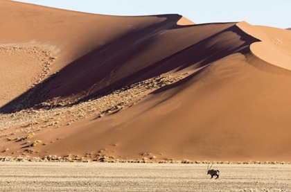 Picture of NAMIBIA, NAMIB-NAUKLUFT PARK SAND DUNES AND ORYX