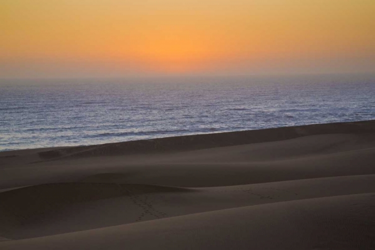 Picture of NAMIBIA, NAMIB DESERT, SWAKOPMUND SKELETON COAST