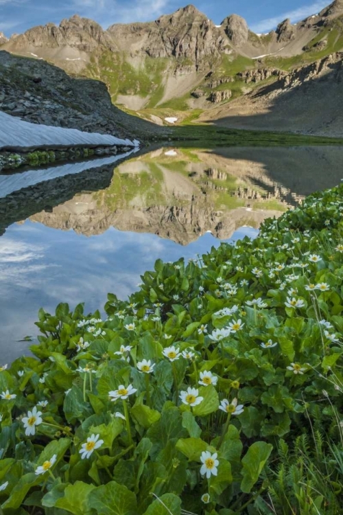 Picture of CO, SAN JUAN MTS LAKE REFLECTION AND MARIGOLDS