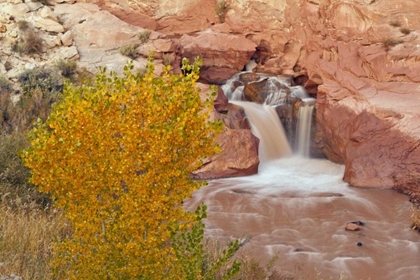 Picture of UT, CAPITOL REEF NP WATERFALL ON FREMONT RIVER