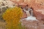 Picture of UT, CAPITOL REEF NP WATERFALL ON FREMONT RIVER