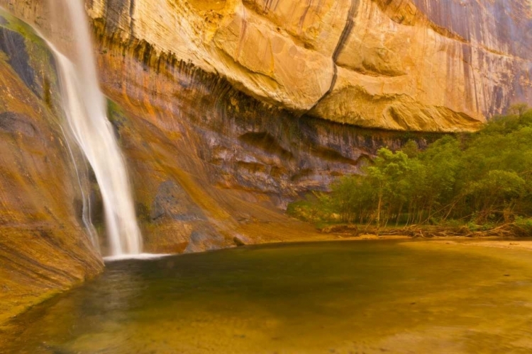 Picture of UT, LOWER CALF CREEK FALLS WATERFALL INTO POOL