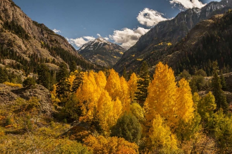 Picture of COLORADO AUTUMN LANDSCAPE IN SAN JUAN MOUNTAINS