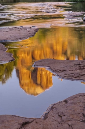 Picture of ARIZONA, SEDONA CATHEDRAL ROCK REFLECTS IN CREEK