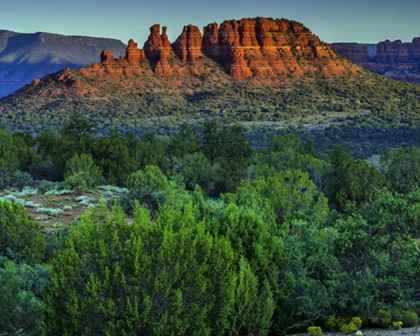 Picture of ARIZONA SUNSET LANDSCAPE IN RED ROCKS STATE PARK