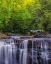 Picture of WEST VIRGINIA, DAVIS, BLACKWATER FALLS THE FALLS