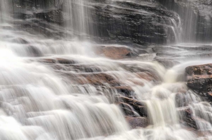 Picture of WEST VIRGINIA, DAVIS, BLACKWATER FALLS THE FALLS