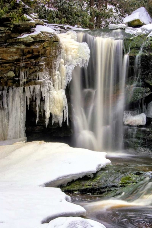 Picture of WEST VIRGINIA, BLACKWATER FALLS FROZEN WATERFALL