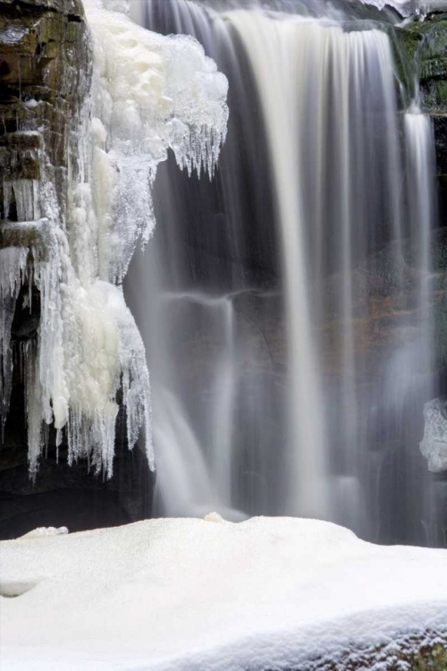 Picture of WEST VIRGINIA, BLACKWATER FALLS FROZEN WATERFALL