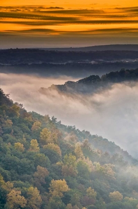 Picture of NEW YORK, LETCHWORTH SP FOGGY LANDSCAPE, SUNRISE