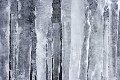 Picture of DETAIL OF HANGING ICICLES