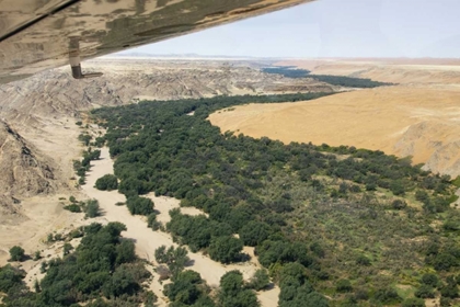Picture of NAMIBIA, NAMIB DESERT THE KUISIB RIVERBED