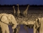 Picture of NAMIBIA, ETOSHA NP ELEPHANTS AND GIRAFFES