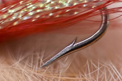 Picture of AK, LAKE CLARK NP MACRO OF A FISHING HOOK