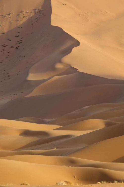 Picture of CHINA, BADAIN JARAN DESERT DESERT SCENIC