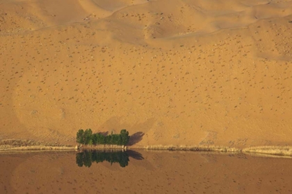 Picture of CHINA, BADAIN JARAN DUNE AND TREES BY A LAKE