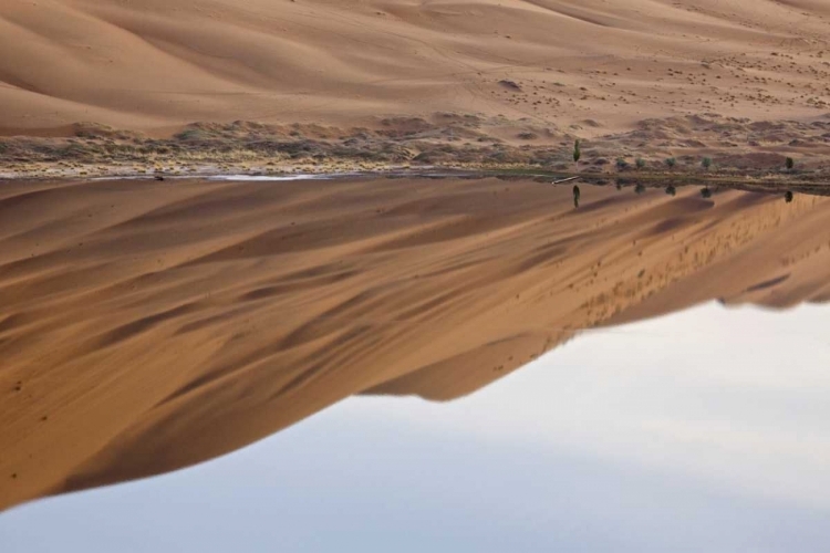 Picture of CHINA, BADAIN JARAN DUNE AND TREES BY A LAKE