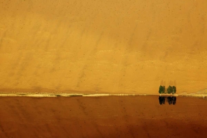 Picture of CHINA, BADAIN JARAN DUNE AND TREES BY A LAKE
