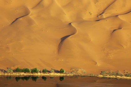 Picture of CHINA, BADAIN JARAN DUNE AND TREES BY A LAKE