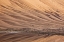 Picture of CHINA, BADAIN JARAN DUNE AND TREES BY A LAKE