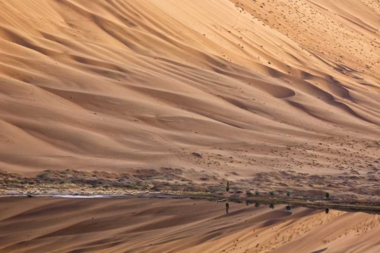 Picture of CHINA, BADAIN JARAN DUNE AND TREES BY A LAKE