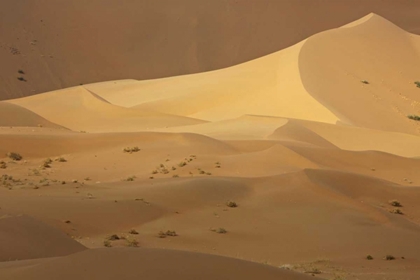 Picture of CHINA, BADAIN JARAN DESERT CONTRASTS IN DESERT