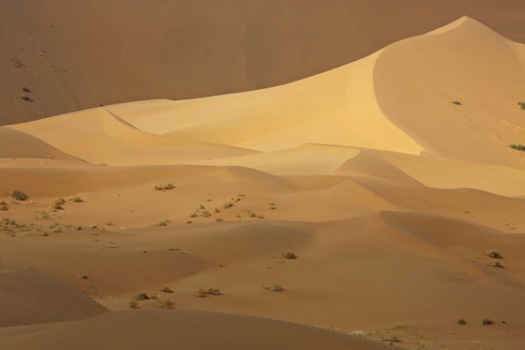 Picture of CHINA, BADAIN JARAN DESERT CONTRASTS IN DESERT