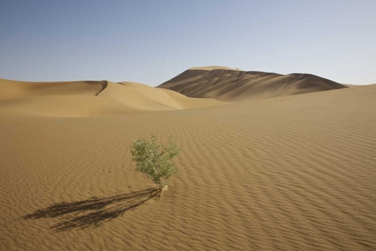 Picture of CHINA, GANSU PROVINCE BADAIN JARAN DESERT