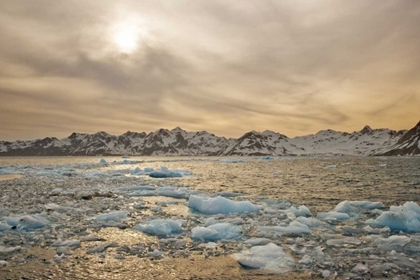 Picture of SOUTH GEORGIA ISL SUNSET OVER WATER AND SEA ICE