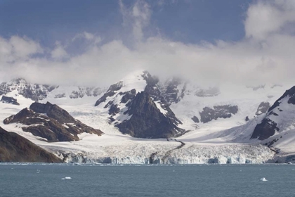 Picture of ANTARCTICA, ROYAL BAY WEDDELL GLACIER